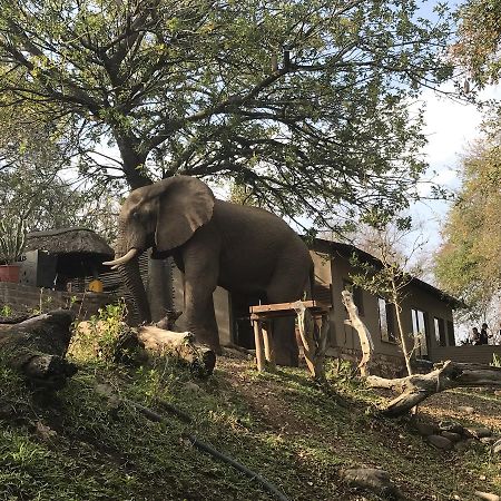 Ximongwe River Camp - Crocodile Cottage Balule Game Reserve Exterior photo